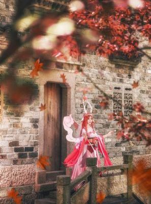 抹布女_蓝光完整视频观看
